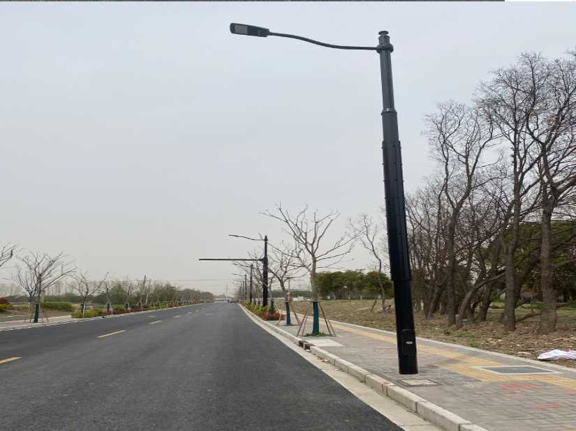 坊子区上海综合杆 太阳能路灯工程